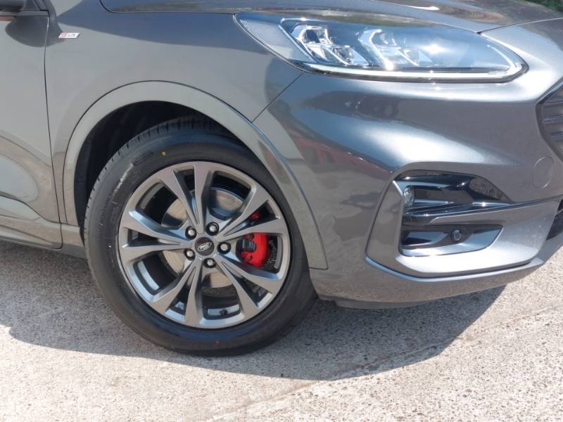 Ford Kuga Kuga St-line X First Edition Ecoblue Grey #20