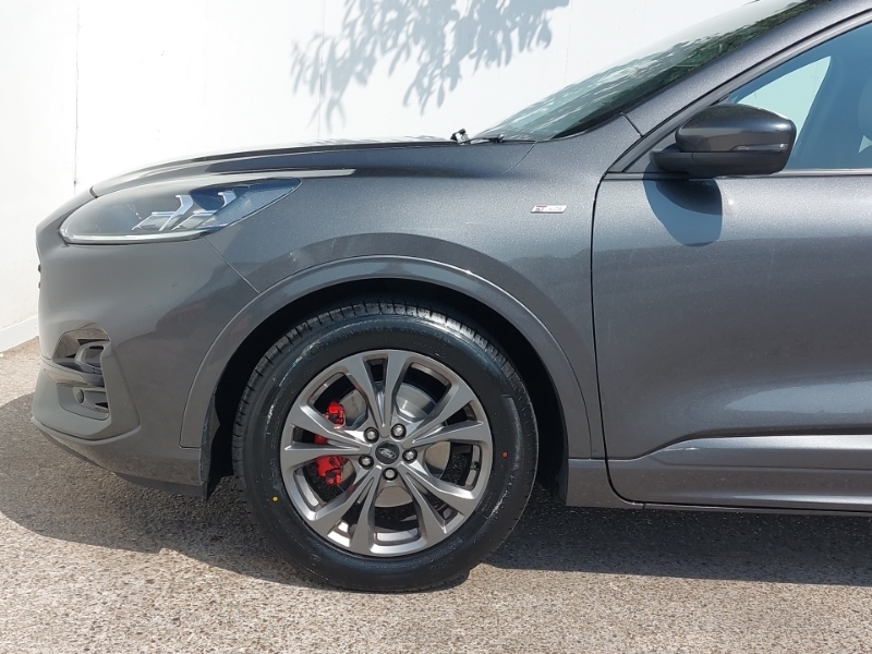 Ford Kuga Kuga St-line X First Edition Ecoblue Grey #19