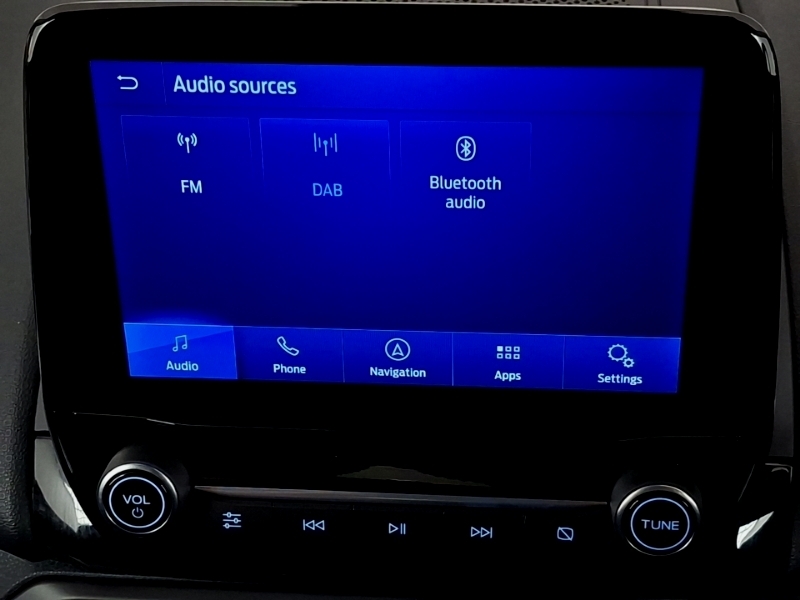 Ford Ecosport St-line Grey #11