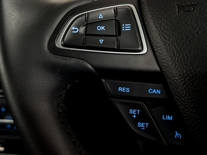 Ford Ecosport St-line Grey #12