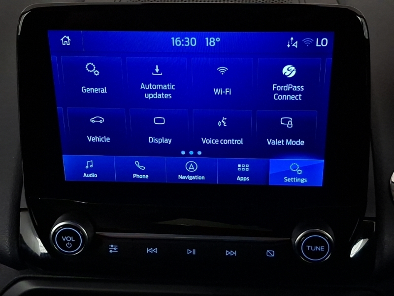Ford Ecosport St-line Grey #15
