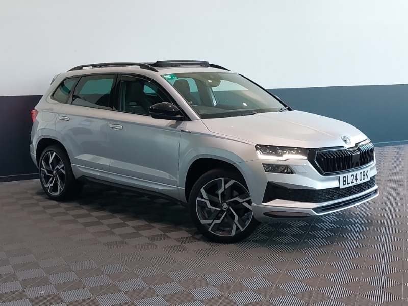 Skoda Karoq Se L Silver #7