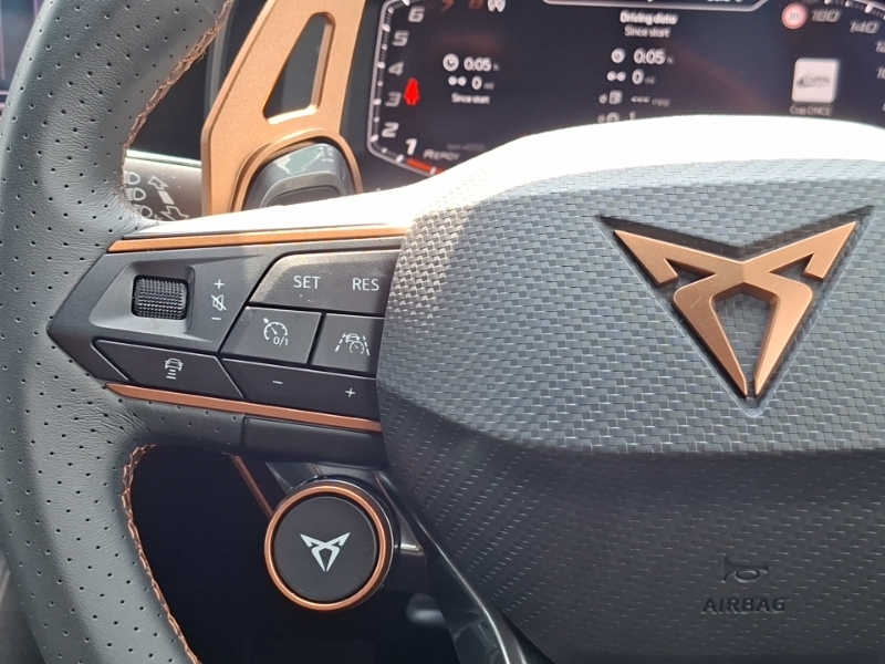 Cupra Formentor 1.5 Tsi 150 V1 Dsg Green #12