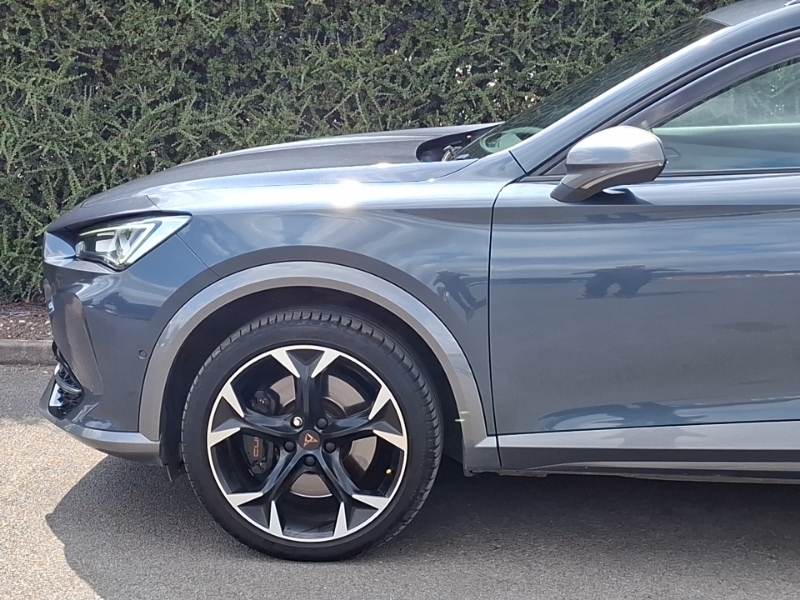 Cupra Formentor 1.5 Tsi 150 V1 Dsg Green #19