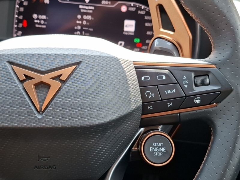 Cupra Formentor 1.5 Tsi 150 V1 Dsg Green #13