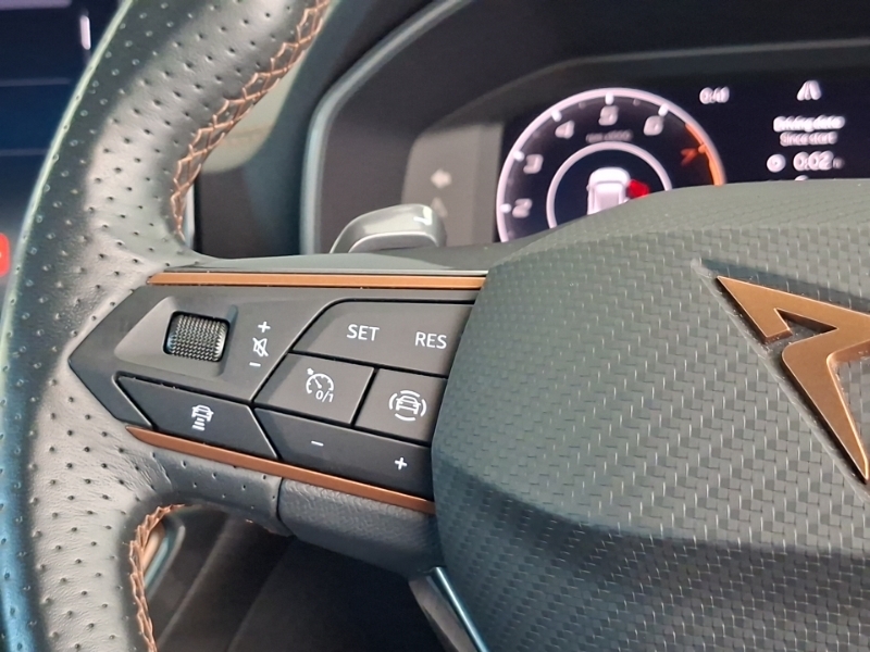 Cupra Formentor 1.5 Tsi 150 V2 Dsg Black #12