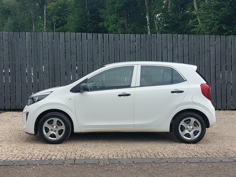 Kia Picanto 1.0 1 White #4