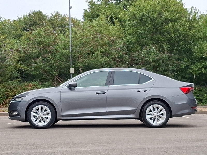 Skoda Octavia 1.5 Tsi Se L Grey #4