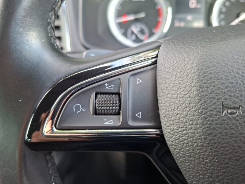 Skoda Karoq  Blue #12