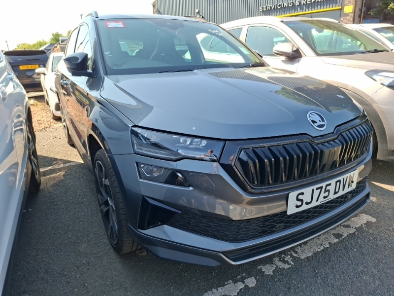 Skoda Karoq 1.5 Tsi Sportline Edition Dsg Grey