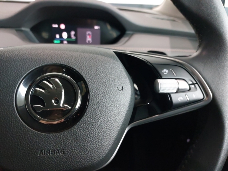 Skoda ENYAQ Edition Grey #13