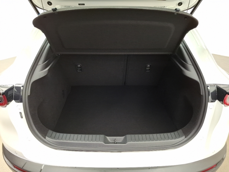 Mazda CX-30 2.0 E-skyactiv X Mhev Takumi White #18