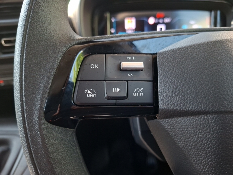 Citroen Berlingo Enterprise Edition Silver #12