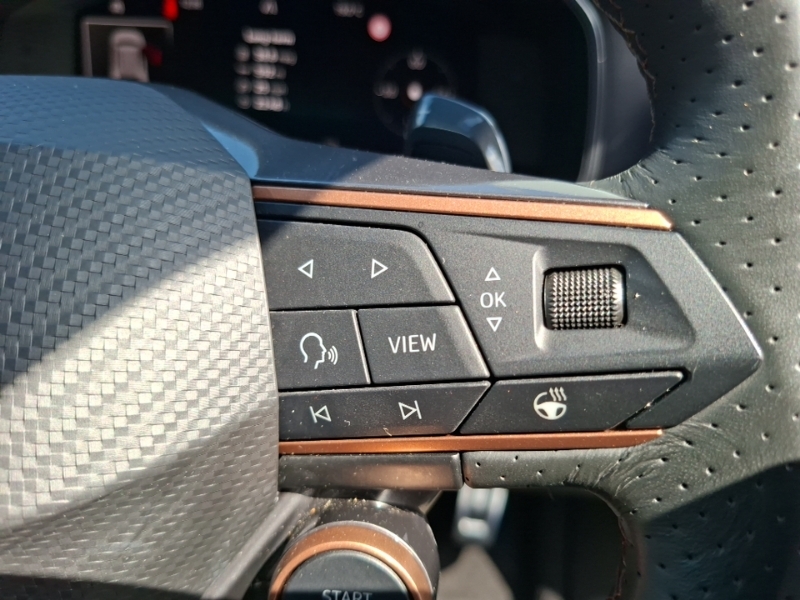 Cupra Formentor 2.0 Tsi 190 V2 Dsg 4Drive Black #13
