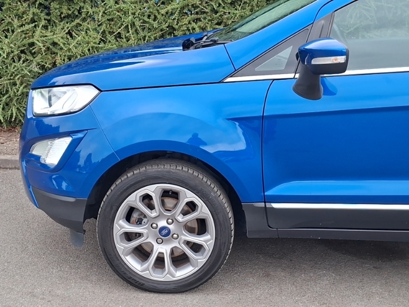 Ford Ecosport St-line White #19