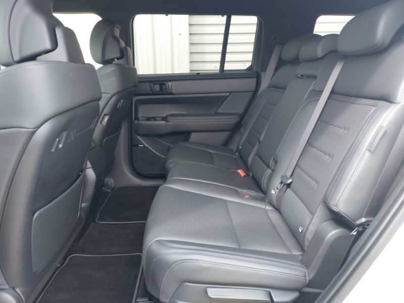 Hyundai Santa Fe 1.6 Tgdi 288 Phev Calligraphy 4Wd Green #6