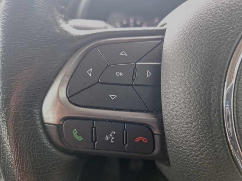 Jeep Renegade Red #12