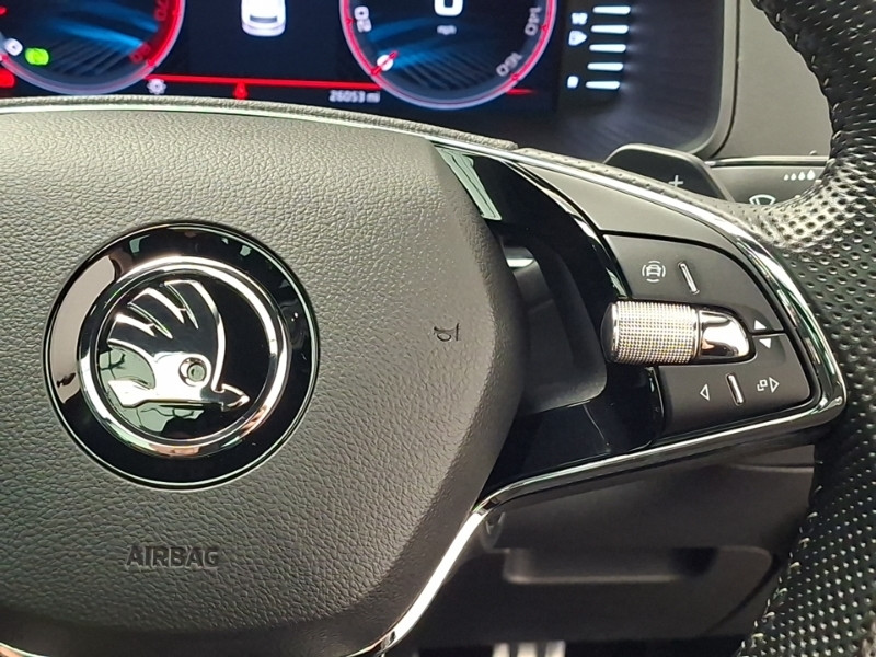 Skoda Karoq Se L Silver #13