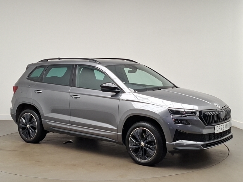 Skoda Karoq Se L Silver #7