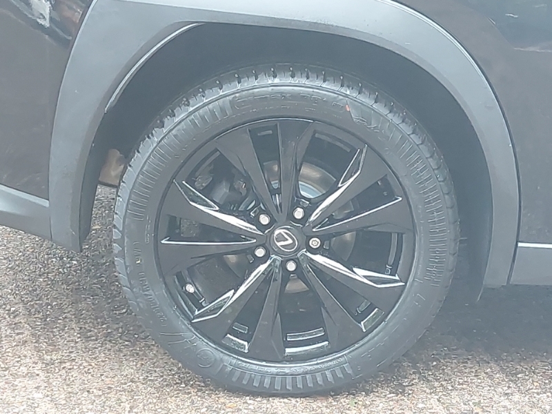 Lexus UX Ux 250H 4X2 Cvt White #14