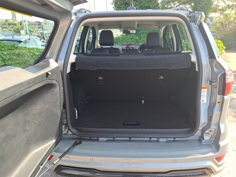 Ford Ecosport St-line Grey #18