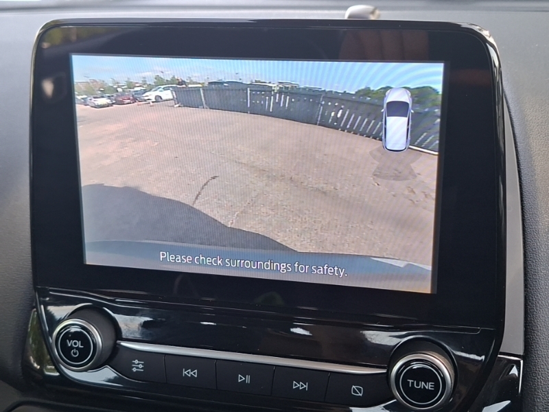 Ford Ecosport St-line Grey #9