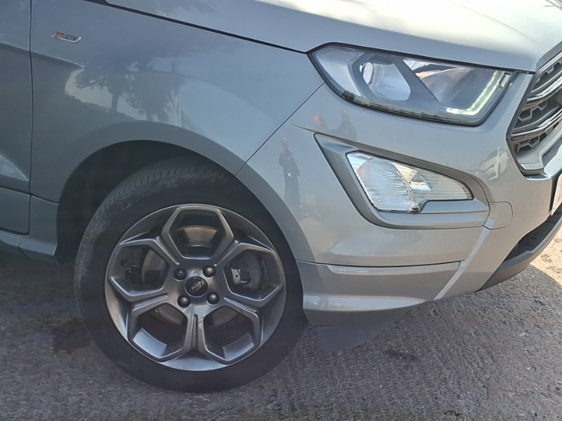 Ford Ecosport St-line Grey #20