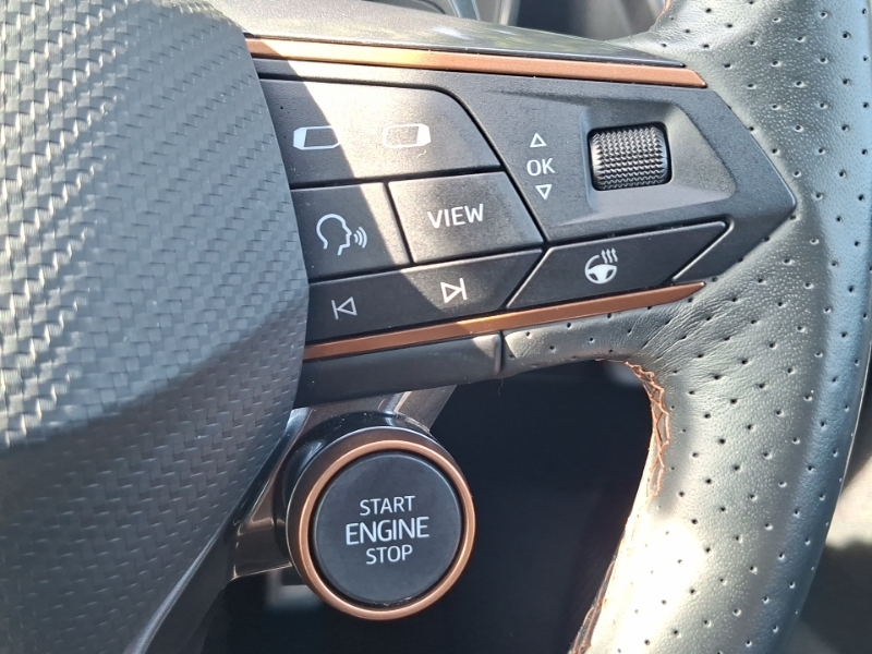 Cupra Formentor 2.0 Tsi 245 Vz1 Dsg Black #13