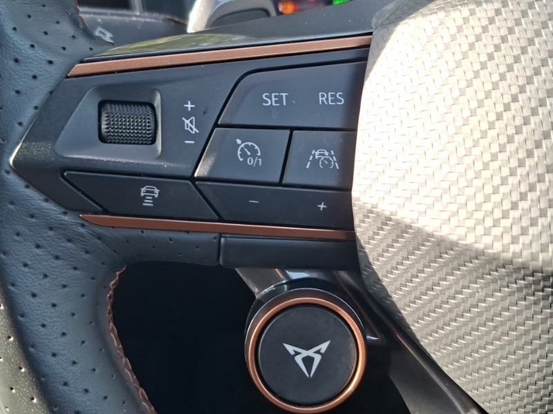 Cupra Formentor 2.0 Tsi 245 Vz1 Dsg Black #12
