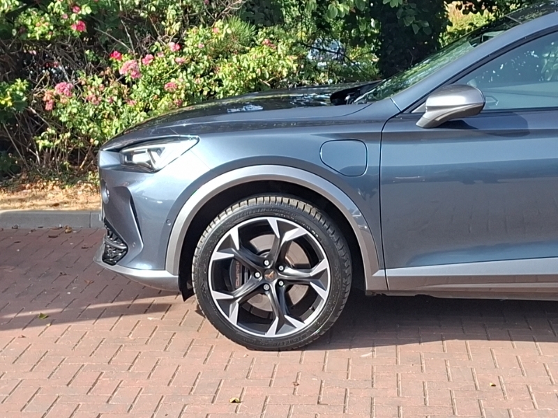 Cupra Formentor 2.0 Tsi 245 Vz1 Dsg Black #19