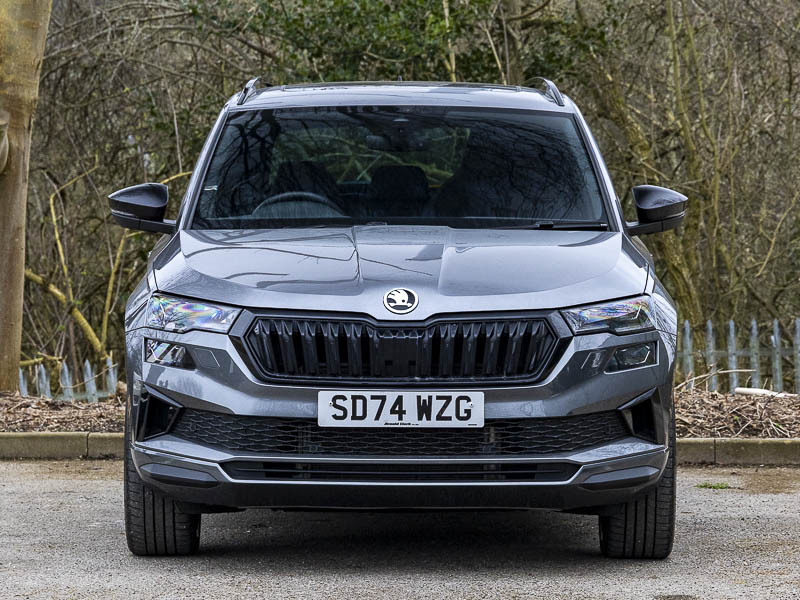 Skoda Karoq Se L Grey #10