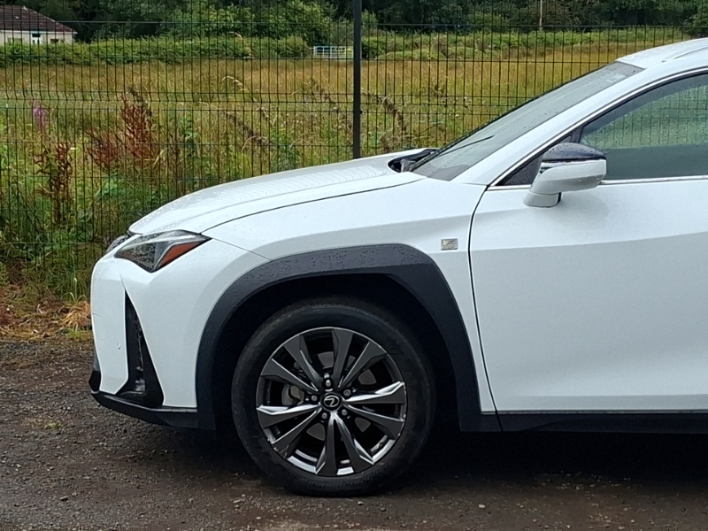 Lexus UX 300E 150Kw 54.3 Kwh E-cvt White #18