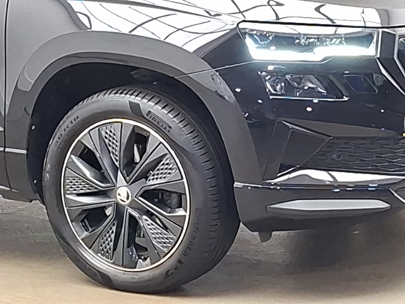 Skoda Karoq Suv Grey #20