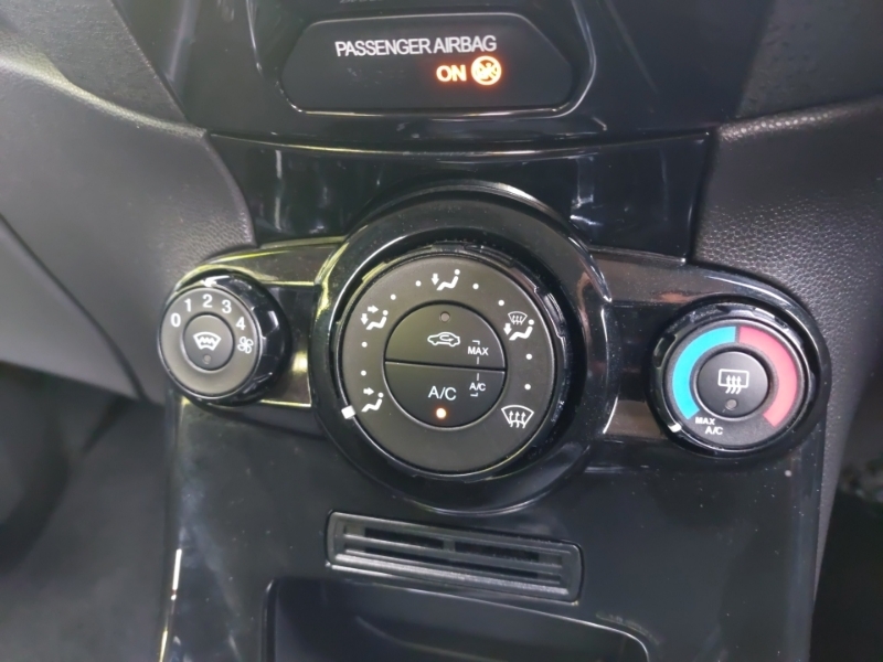 Ford Fiesta Petrol  #15
