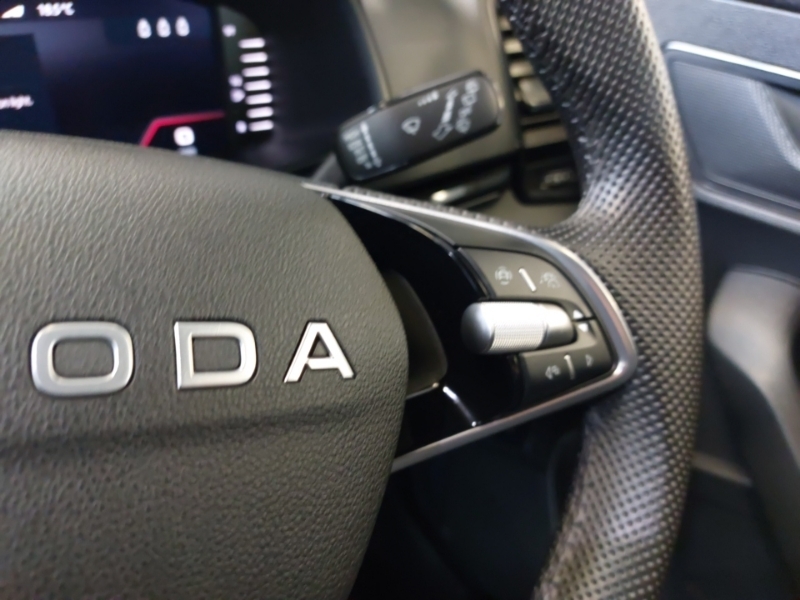Skoda Karoq Se L Edition Grey #13