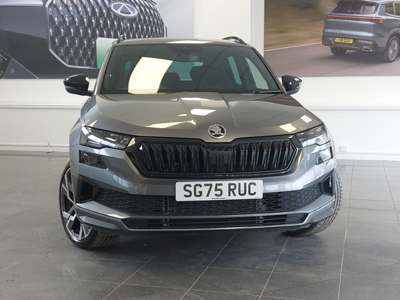 Skoda Karoq Se L Edition Grey #14