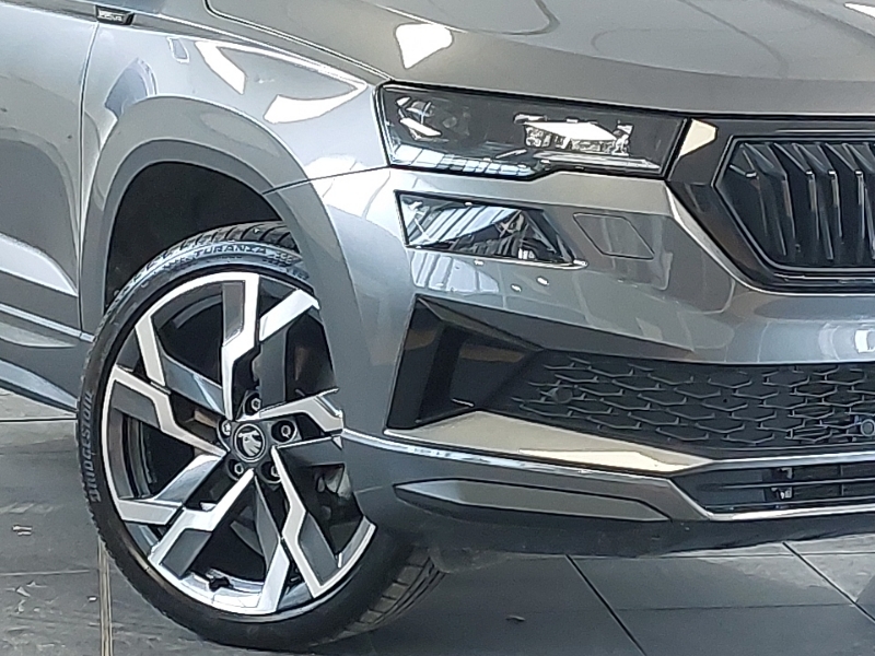 Skoda Karoq Se L Edition Grey #20
