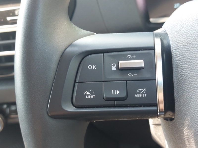 Citroen e-C4 100Kw Shine Plus 50Kwh Saloon Grey #12