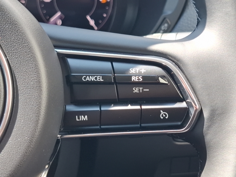 Mazda CX-60 3.3D 254 Homura Awd Blue #13