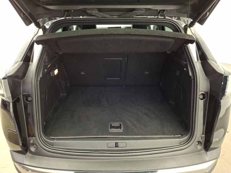 Peugeot 3008 Active Premium Blue #18
