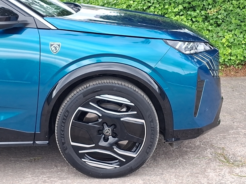 Peugeot 3008 Active Grey #19