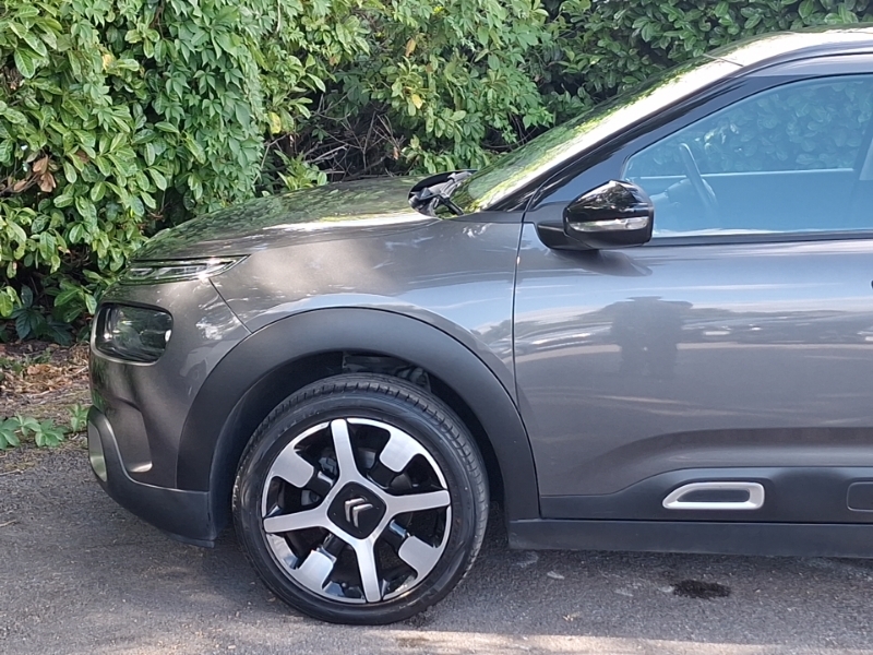 Citroen C4 Cactus 1.5 Bluehdi Flair Blue #19