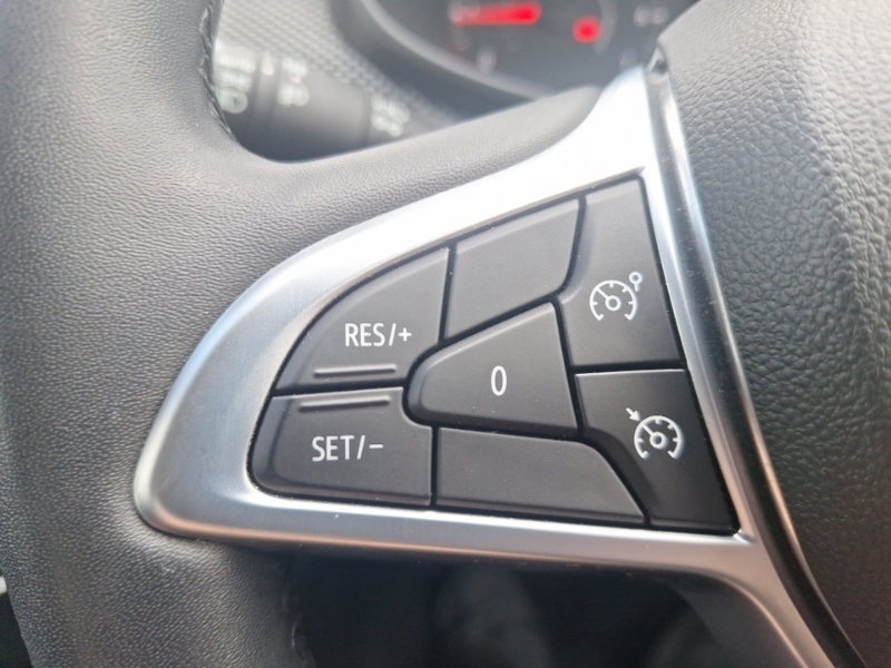 Dacia Sandero Stepway 1.0 Tce Bi-fuel Prestige Grey #13