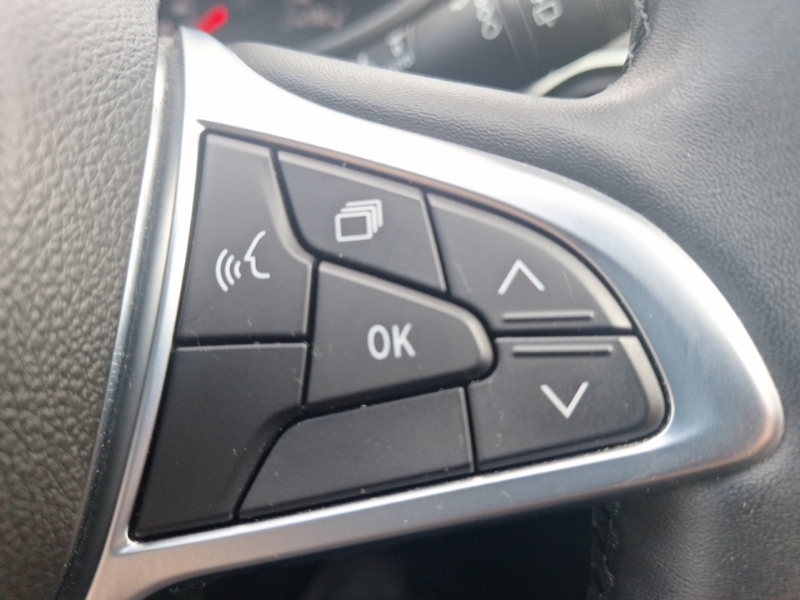Dacia Sandero Stepway 1.0 Tce Bi-fuel Prestige Grey #12