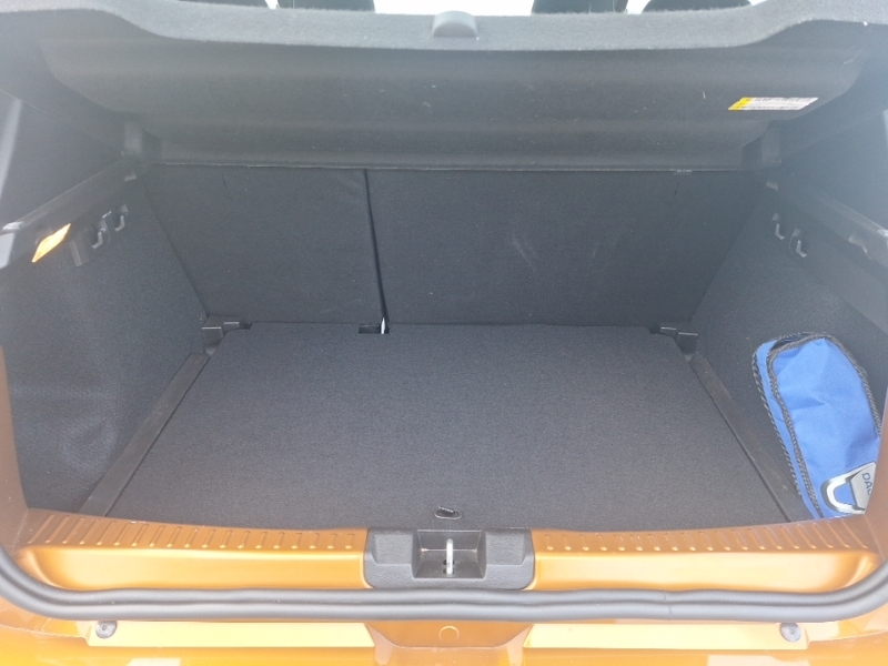 Dacia Sandero Stepway 1.0 Tce Bi-fuel Prestige Grey #18