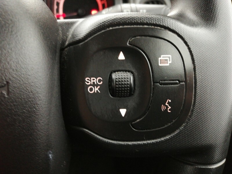 Fiat Panda City Cross Grey #14