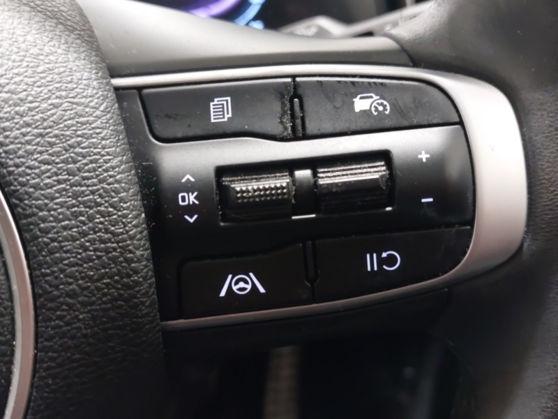 Kia Sportage Gt-line Phev Blue #13