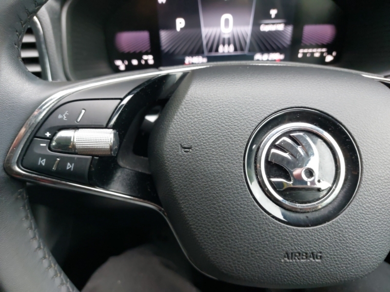 Skoda Karoq Se L Blue #12