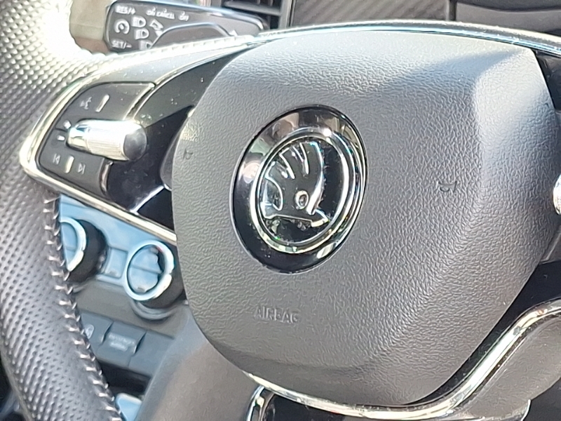Skoda Kodiaq Se L Black #15