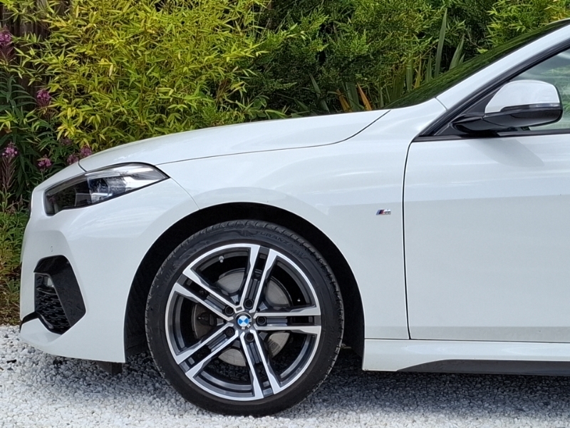 BMW 2 Series 220I M Sport Purple #19